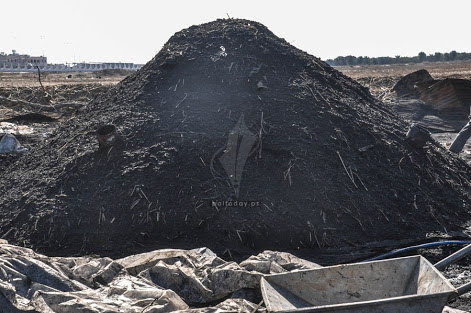 كيفية صناعة الفحم	